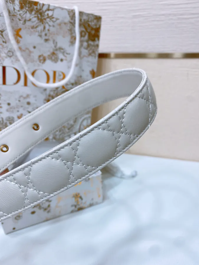 Montaigne Jolie Belt in Smooth Calfskin