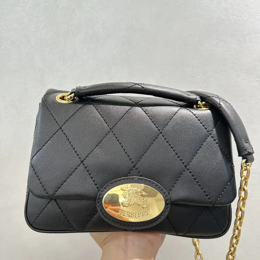 B's Latest Bag Embroidered Calfskin with Metal Knight Embossing