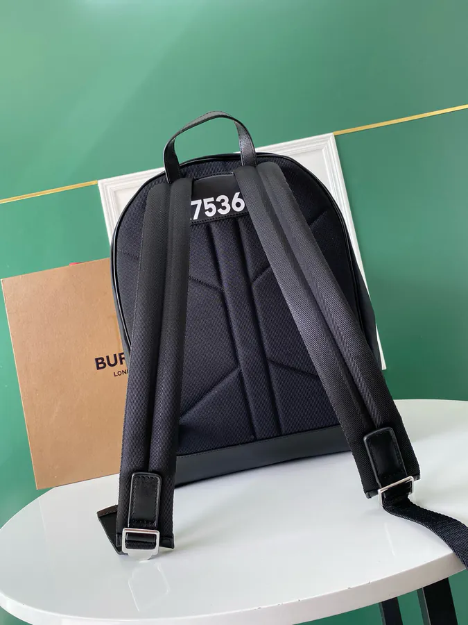 P550 B Family Latest Backpack with Coordinates Print