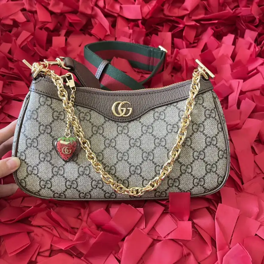 Gucci Ophidia Series Mini Handbag