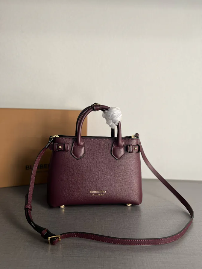 The Banner Tote Mini Size