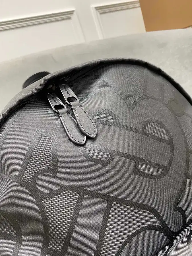 Thomas Burberry Double Shoulder Bag