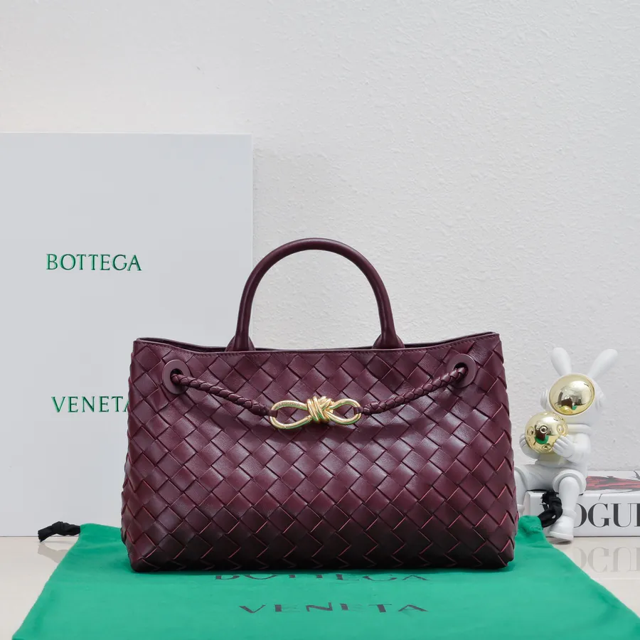 Bottega Veneta Andiamo Handbag