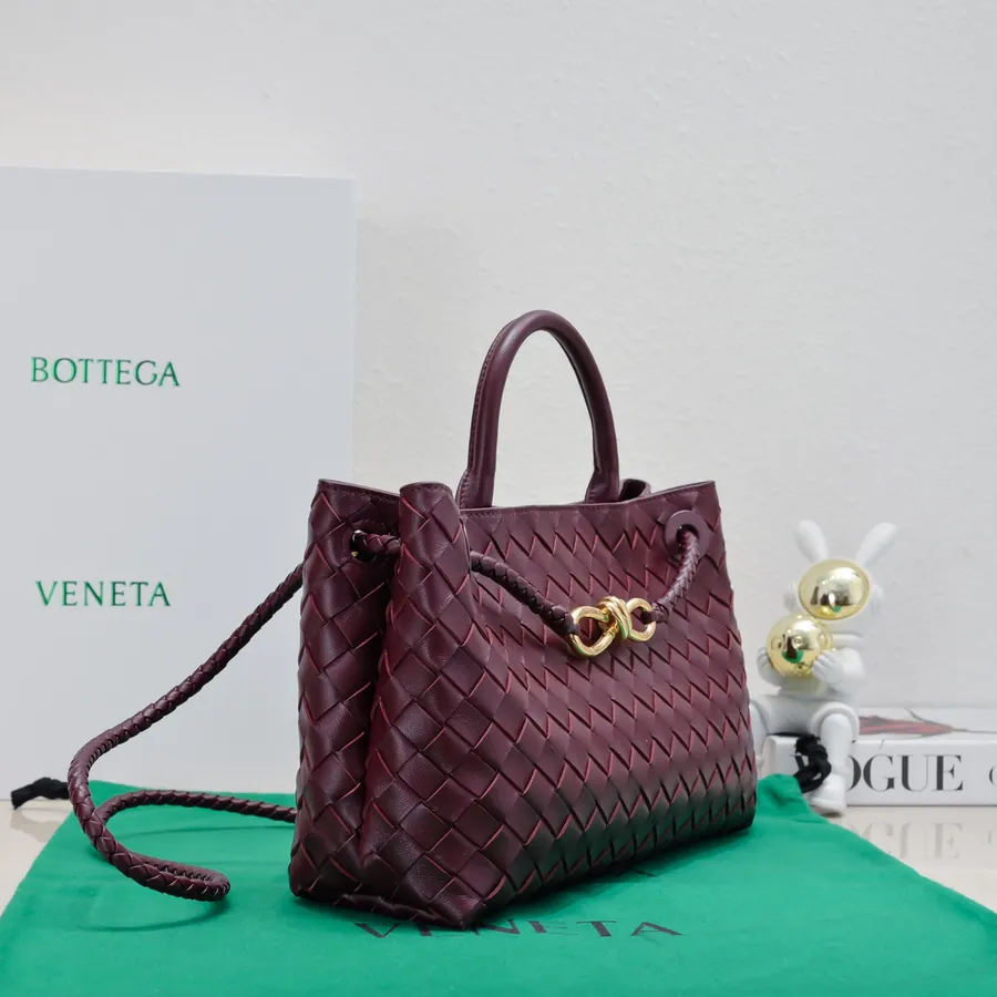 Bottega Veneta Andiamo Handbag