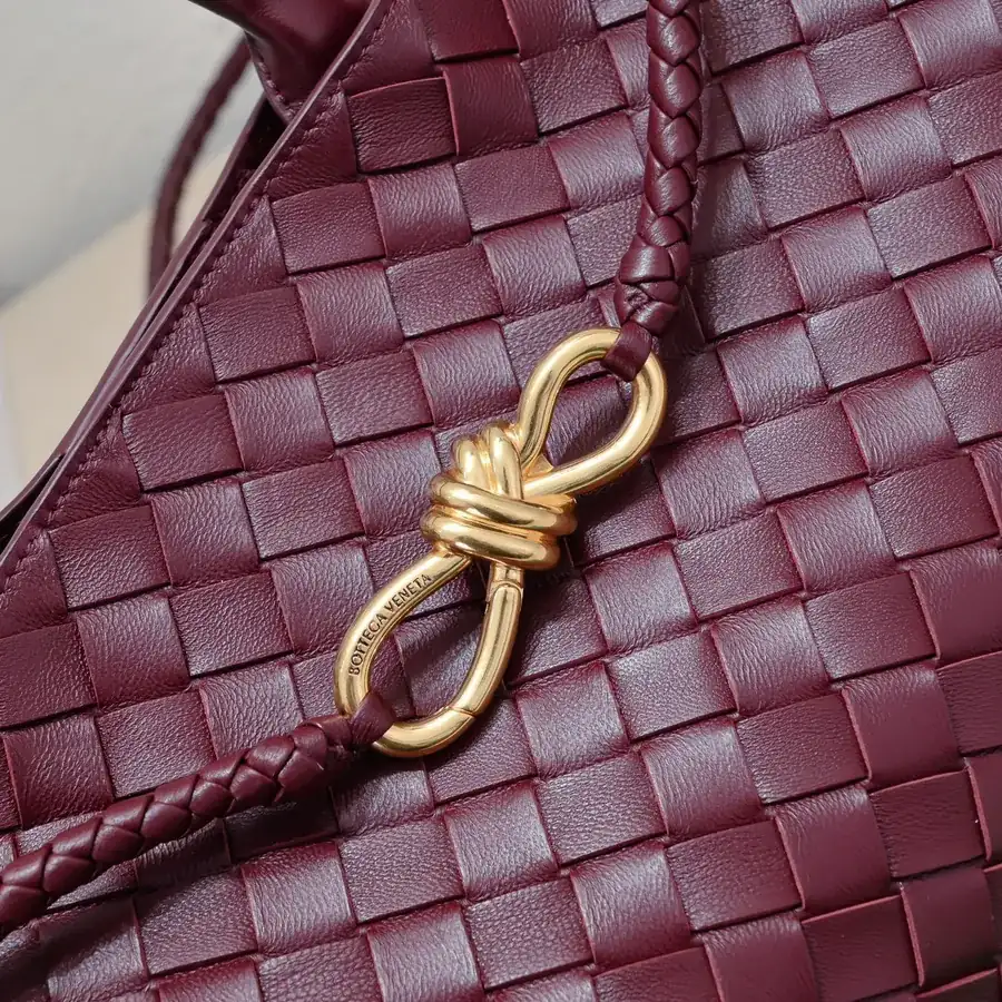 Bottega Veneta Andiamo Handbag