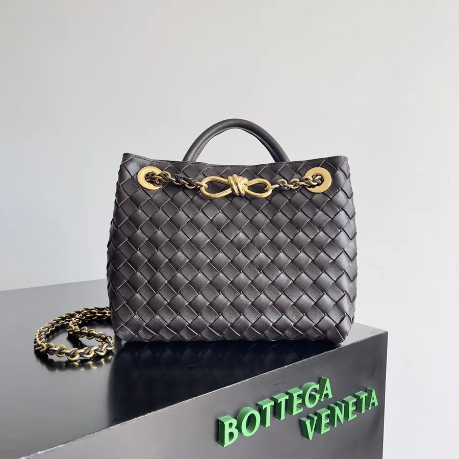 BOTTEGA VENETA Andiamo Small Chain Crossbody Bag