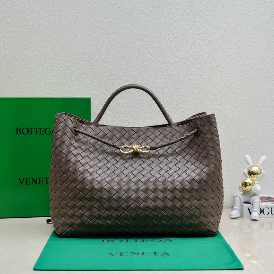 Bottega Veneta Andiamo Handbag Spring Summer 2023