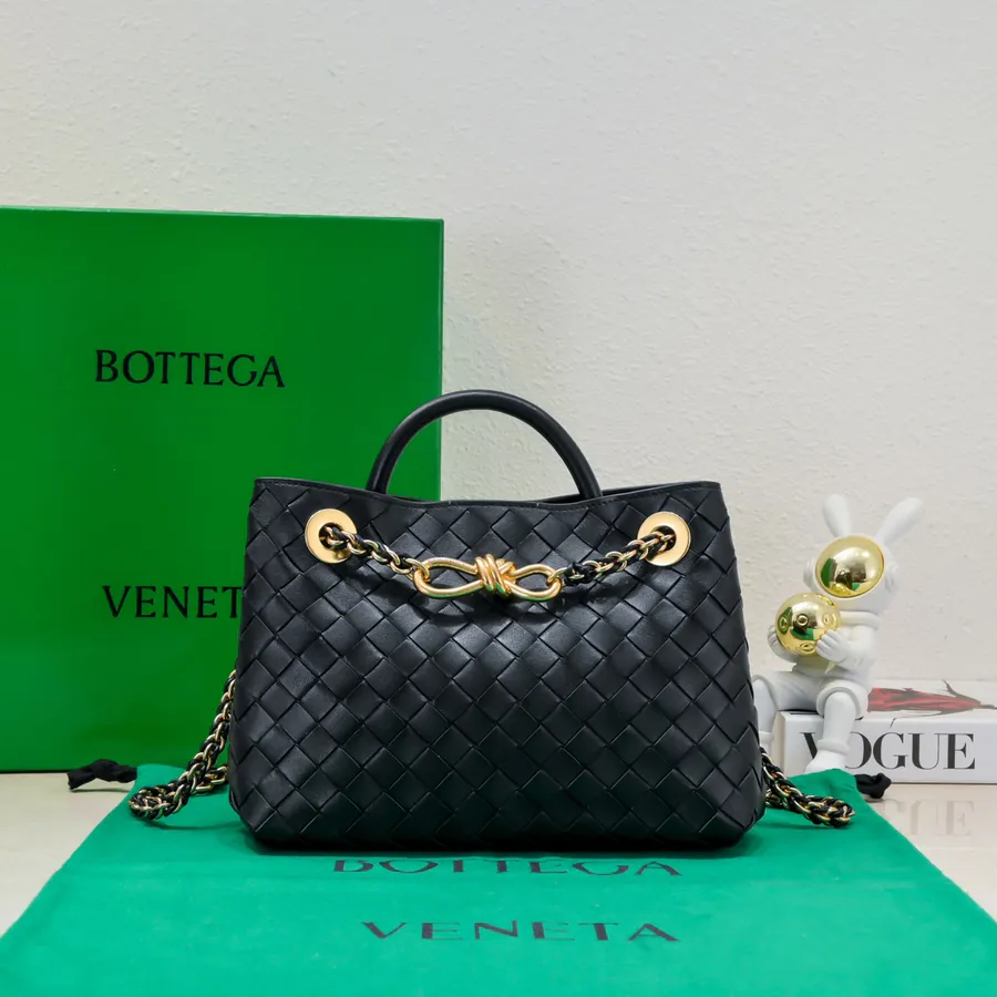 BOTTEGA VENETA Andiamo Mini Chain Bag