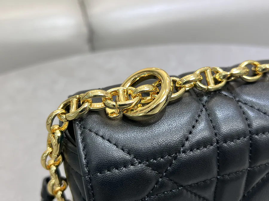Soft Caro Handbag 2025 Autumn Collection, Mini Size, Cistian Paris Inspired