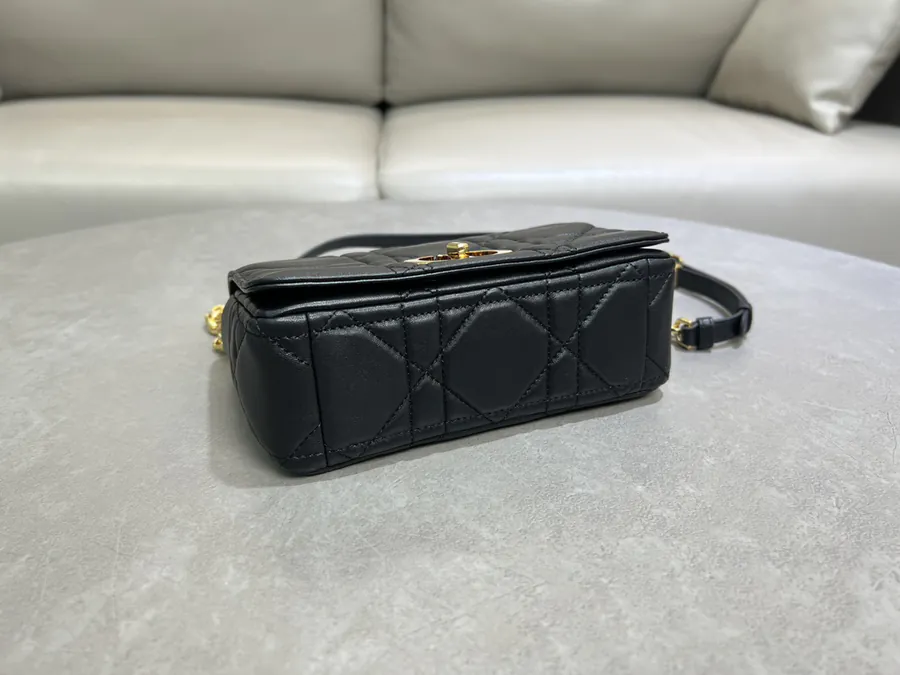 Soft Caro Handbag 2025 Autumn Collection, Mini Size, Cistian Paris Inspired