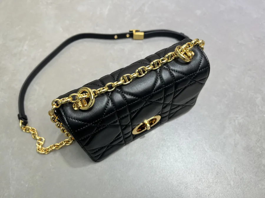 Soft Caro Handbag 2025 Autumn Collection, Mini Size, Cistian Paris Inspired