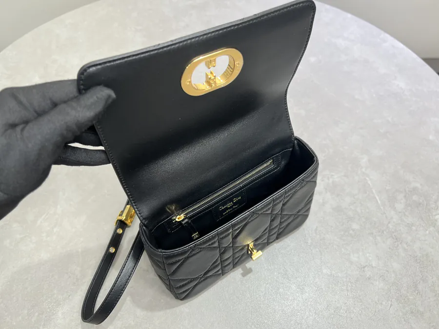 Soft Caro Handbag 2025 Autumn Collection, Mini Size, Cistian Paris Inspired