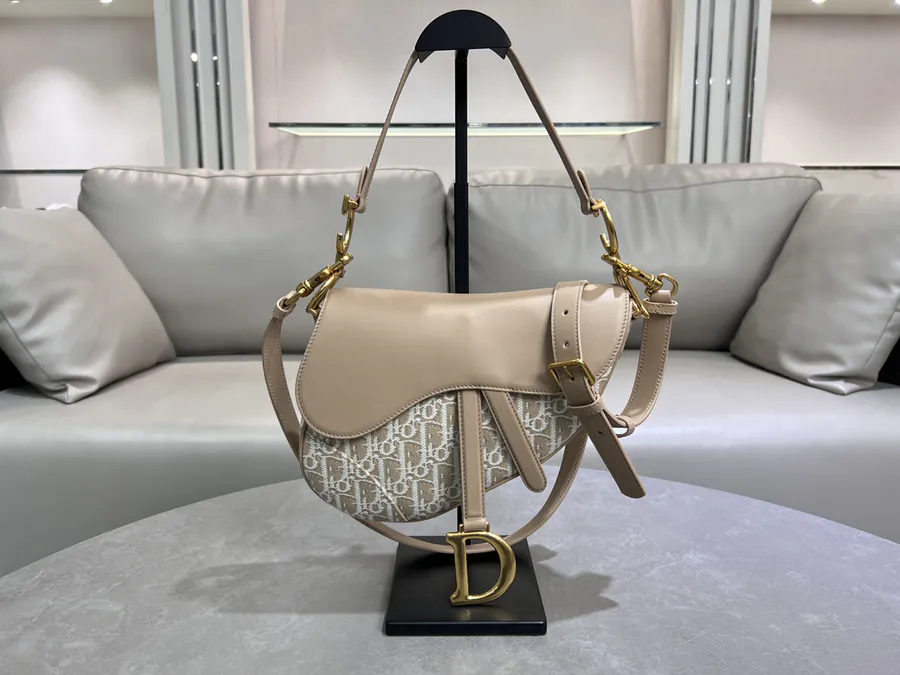 Maria Grazia Chiuri Oblique Print Satchel