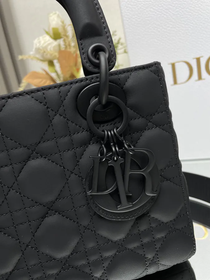 Lady Dio.r My ABC Grained Calfskin Crossbody Bag