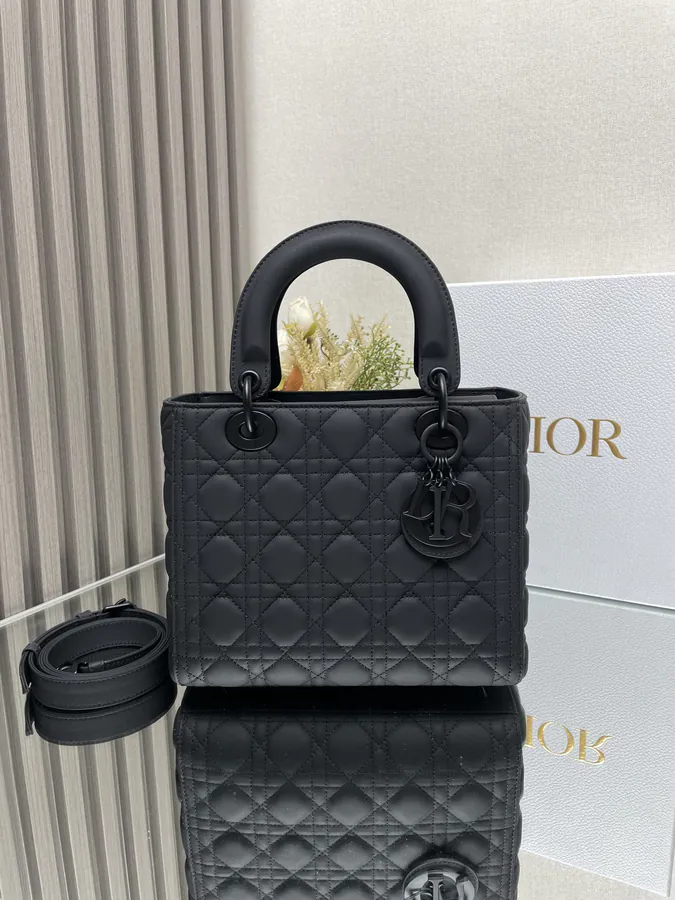 Lady Dio.r My ABC Grained Calfskin Tote