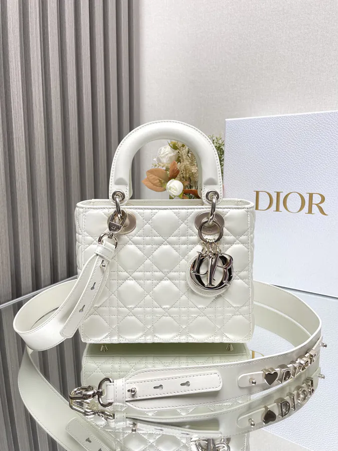 Lady Dio.r My ABC Bucket Bag