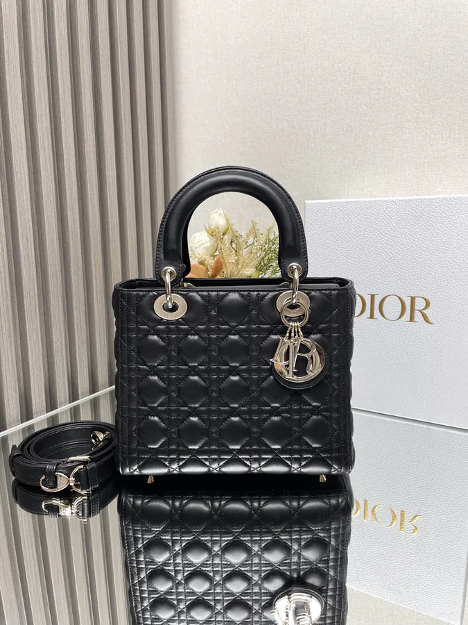 Lady Dio.r My ABC Bucket Bag in Black Calfskin