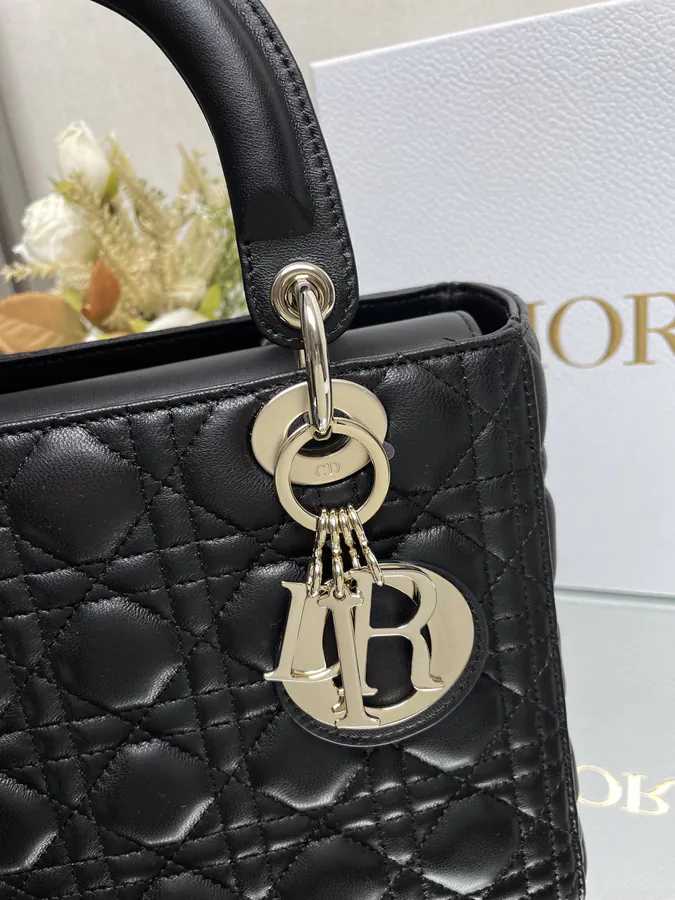 Lady Dio.r My ABC Bucket Bag in Black Calfskin