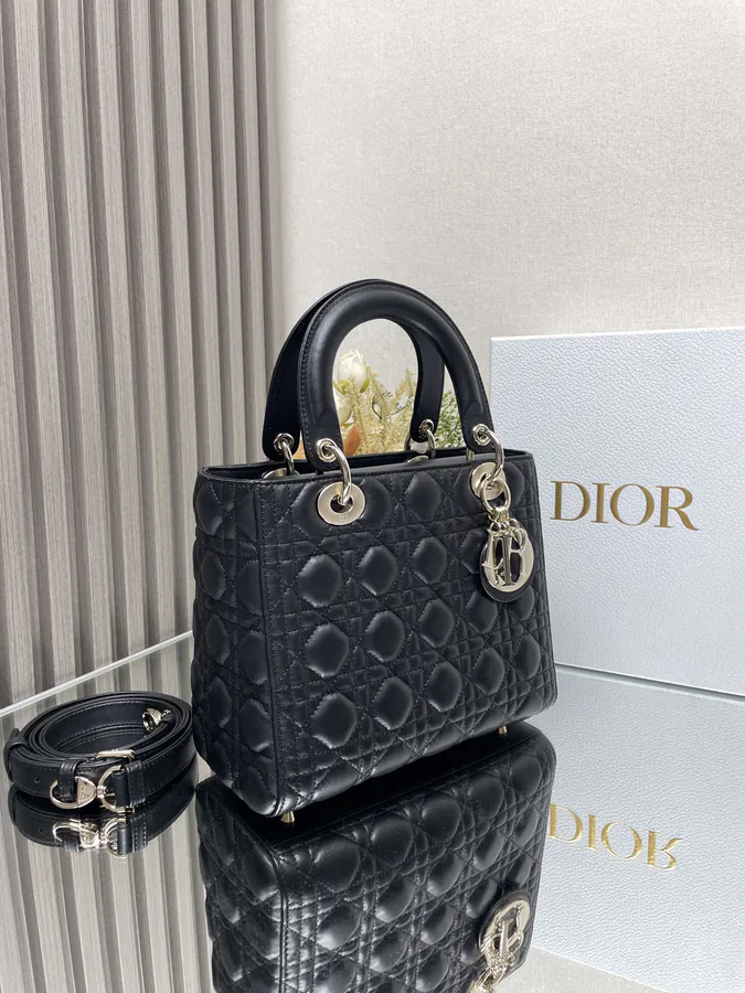 Lady Dio.r My ABC Bucket Bag in Black Calfskin