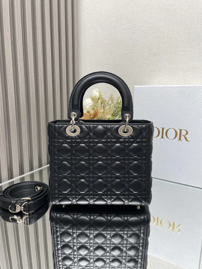 Lady Dio.r My ABC Bucket Bag in Black Calfskin