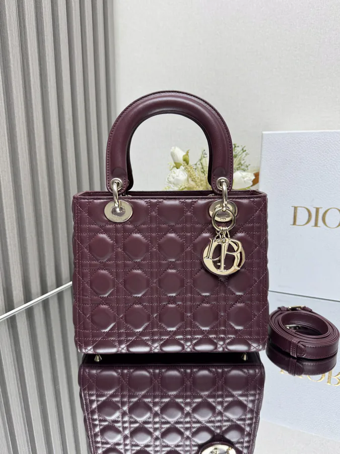 Lady Dio.r My ABC Bucket Bag