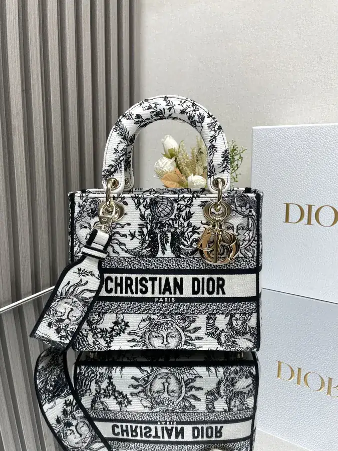Lady Embroidered Christian Dior Sun God White Handbag