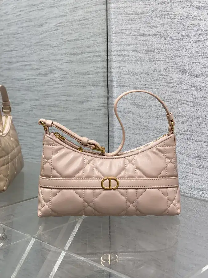 Miss Caro Autumn Collection Water Jiao Bag