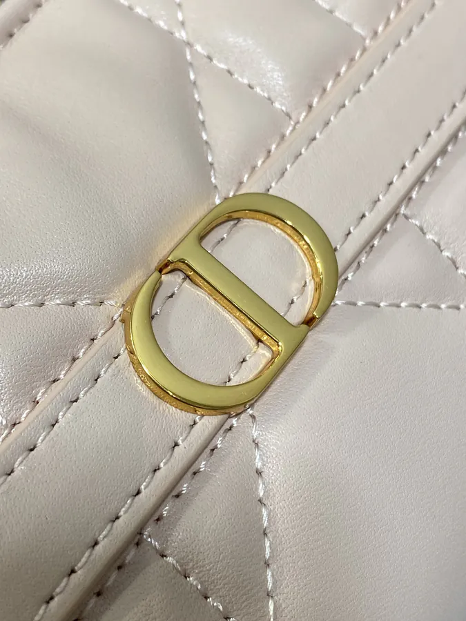 Miss Caro Autumn Collection Water Jiao Bag