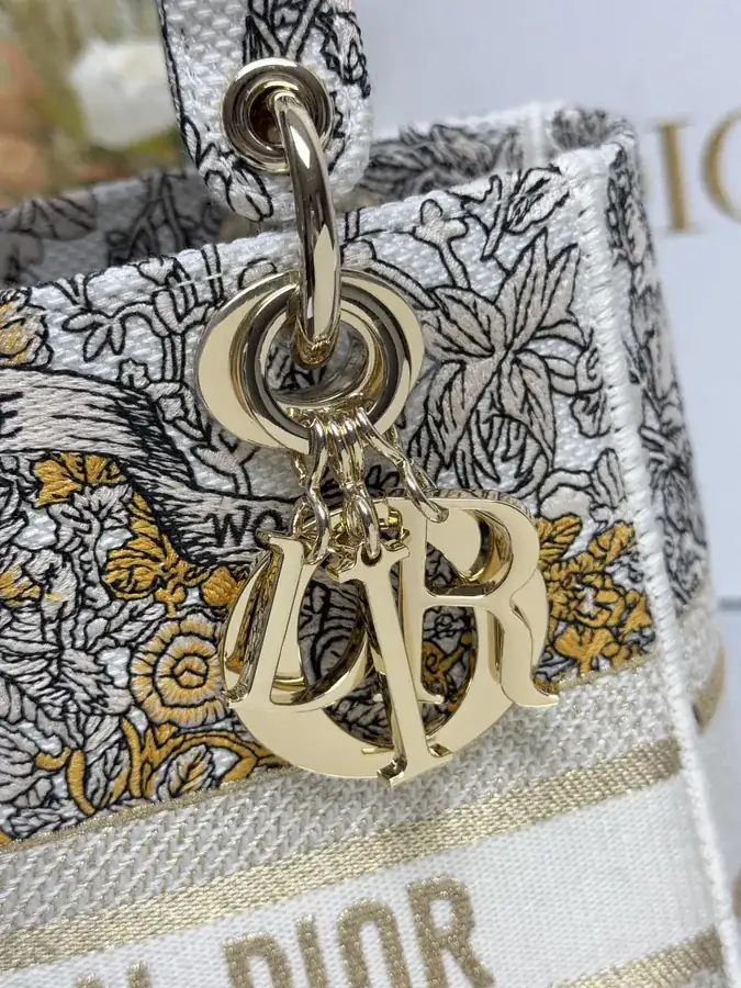 Stars Gold 5 Patch Embroidery Lady Dior Bag