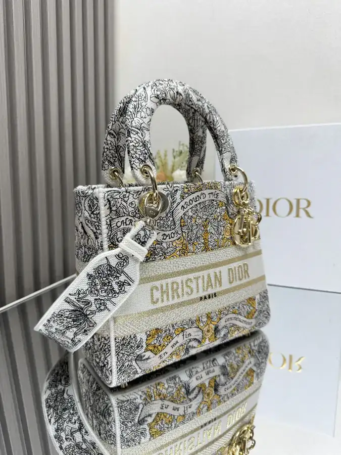 Stars Gold 5 Patch Embroidery Lady Dior Bag