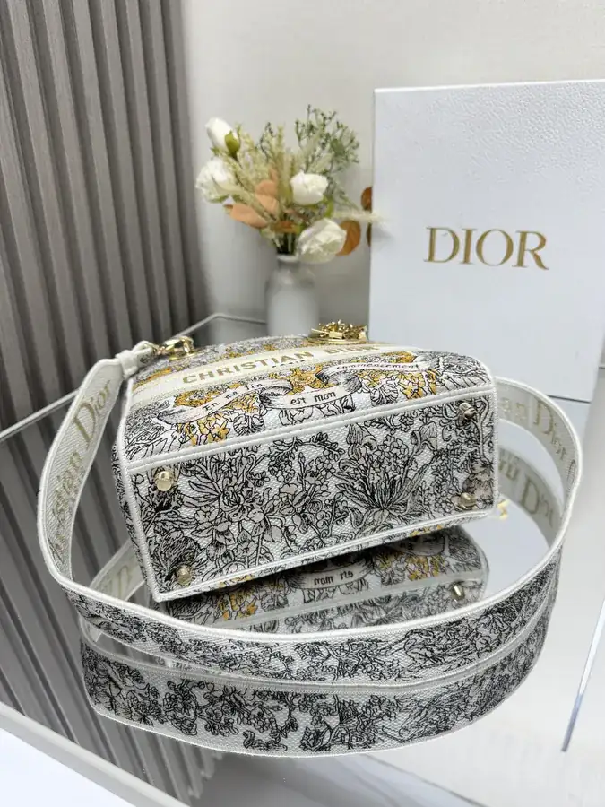 Stars Gold 5 Patch Embroidery Lady Dior Bag