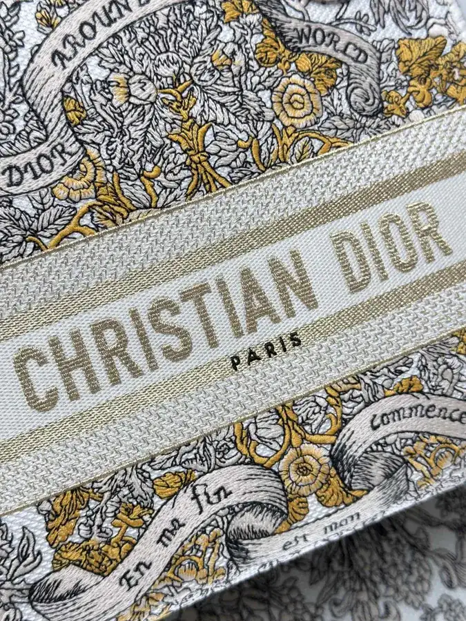 Stars Gold 5 Patch Embroidery Lady Dior Bag
