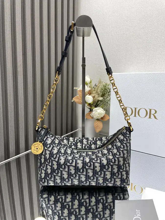 Cistian Paris Star Hobo Chain Bag with Blue Oblique Print