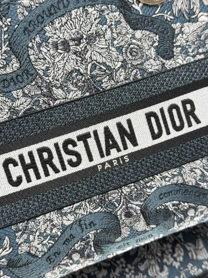 Christian Dior Star Green Five Patch Embroidered Lady Bag