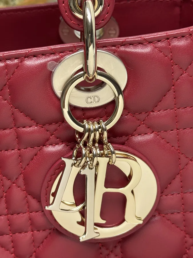Lady Dio.r My ABC Bucket Bag