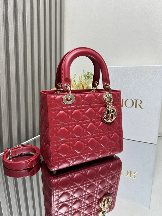 Lady Dio.r My ABC Bucket Bag