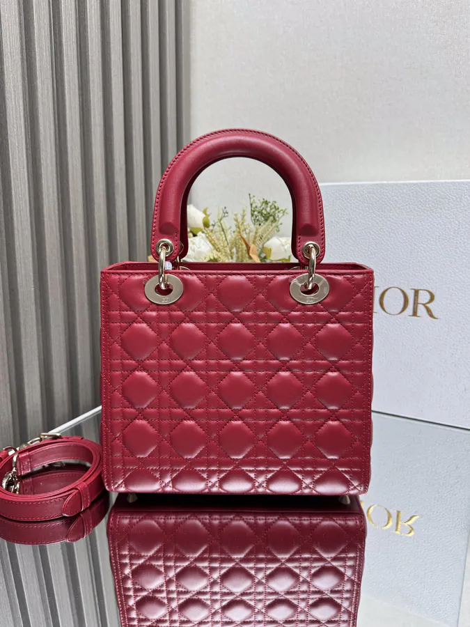 Lady Dio.r My ABC Bucket Bag