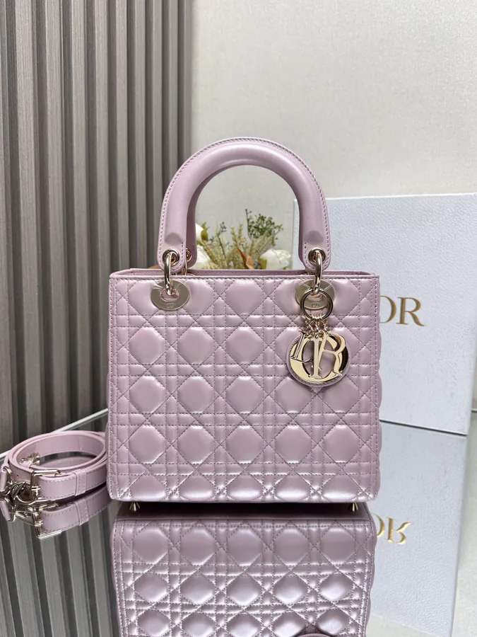 Lady Dio.r My ABC Bucket Bag
