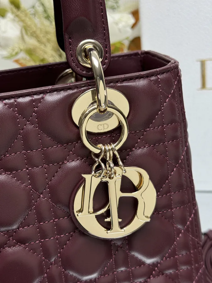 Lady Dio.r My ABC Bucket Bag