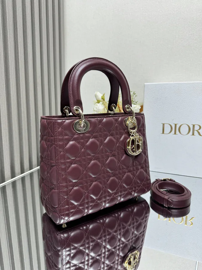 Lady Dio.r My ABC Bucket Bag