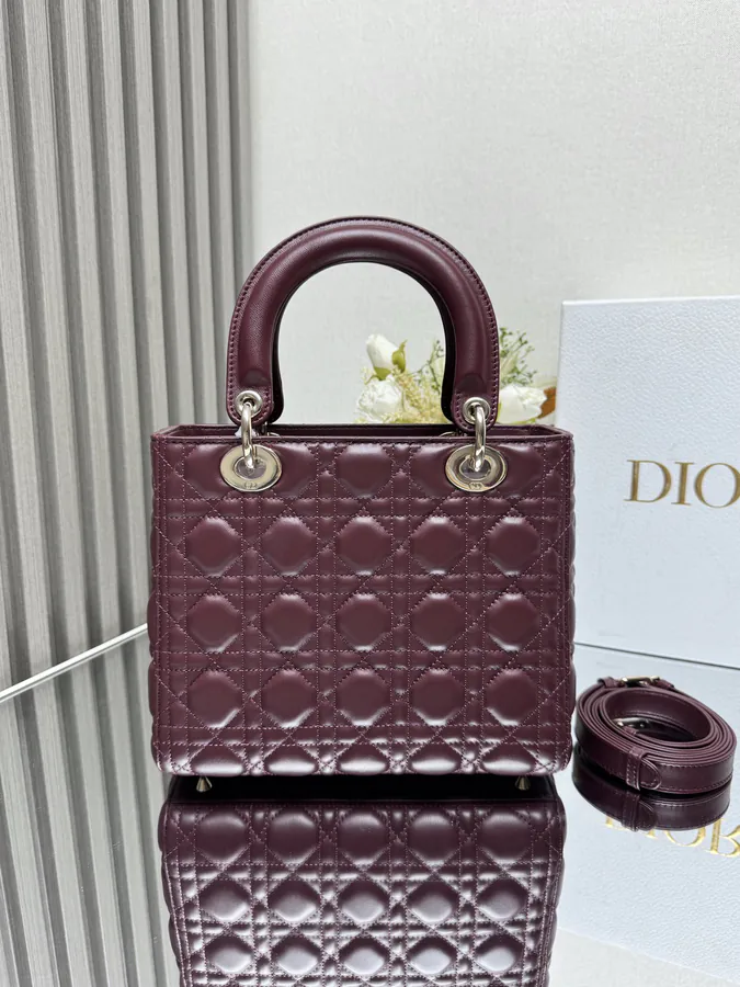 Lady Dio.r My ABC Bucket Bag