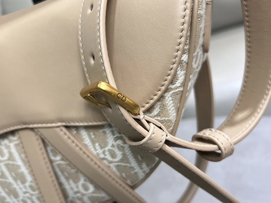 Maria Grazia Chiuri Saddle Bag in Natural Color