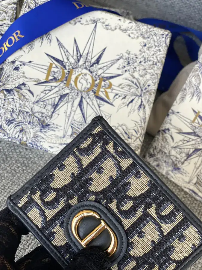 30 Montaigne Card Case with Blue Oblique Print