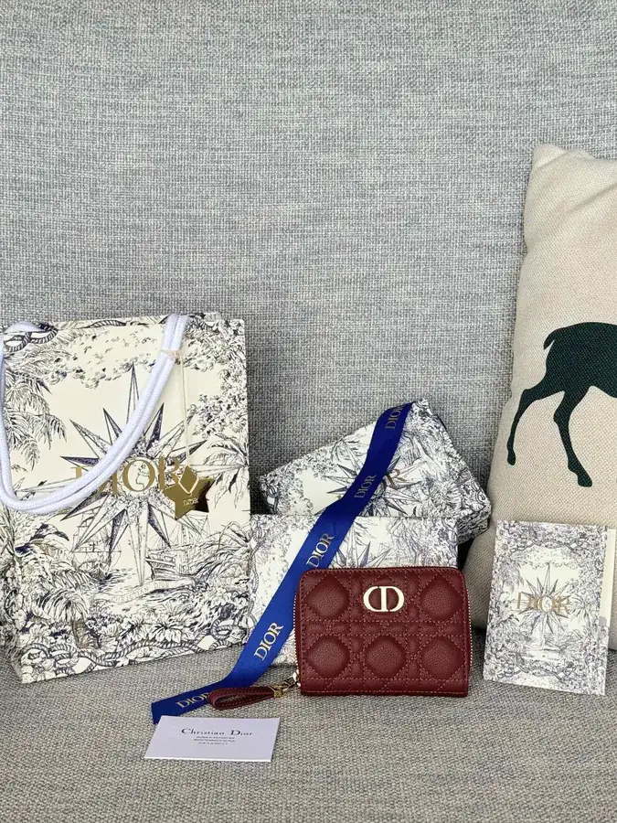 Caro Dandelion Card Holder Cloud Pattern, Leather, Elegant