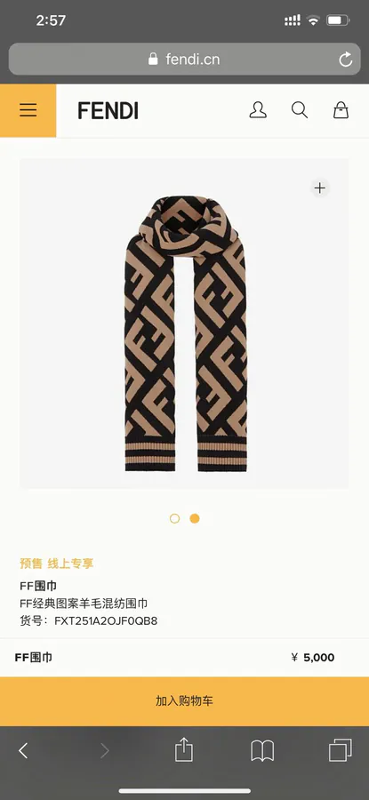 FF Classic Pattern Wool Blend Scarf