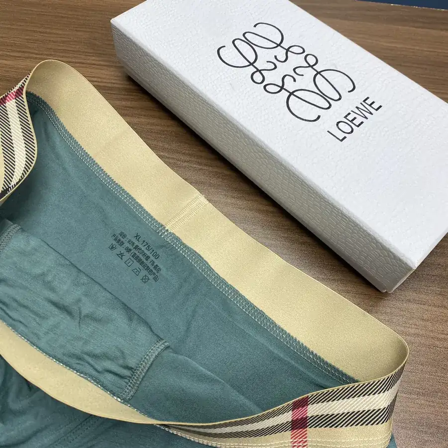 LOE 2024 New Arrival Men's Briefs with Elegant Design