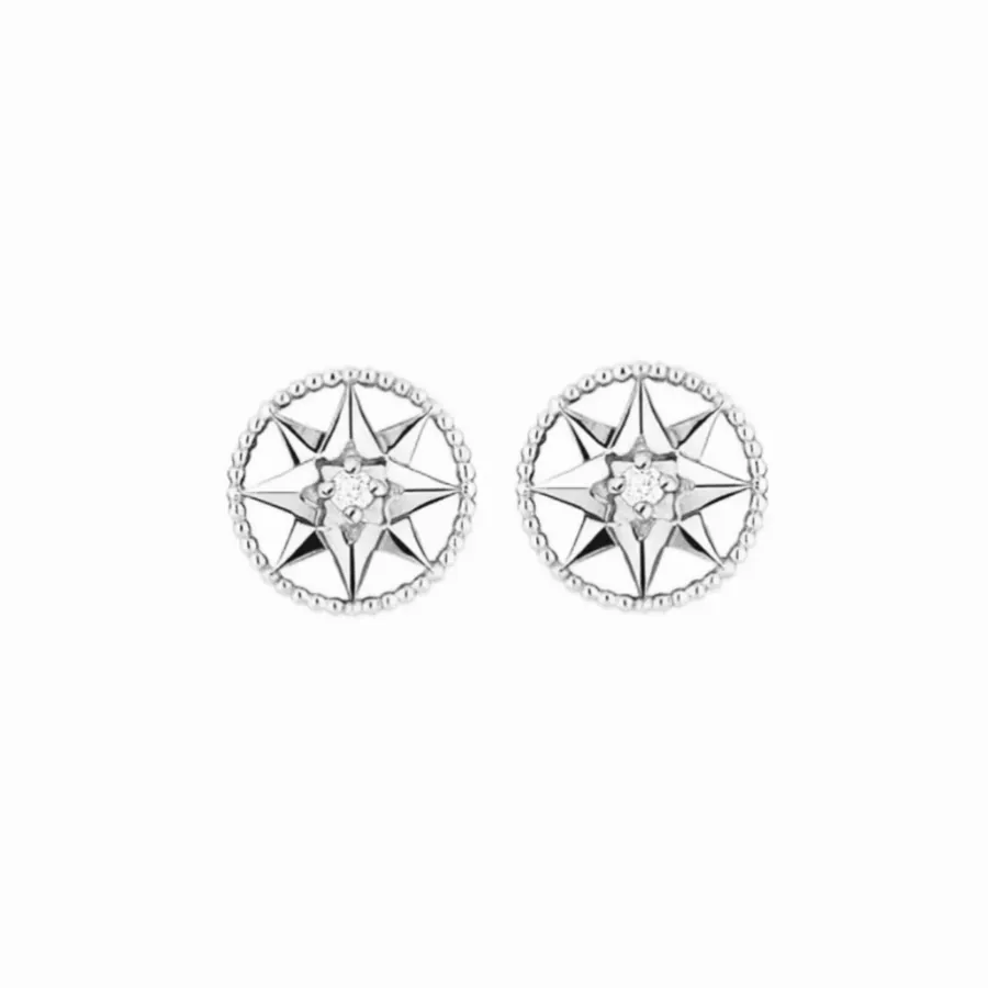 P75 A2672 D家 Eight Star Series Compass Stud Earrings