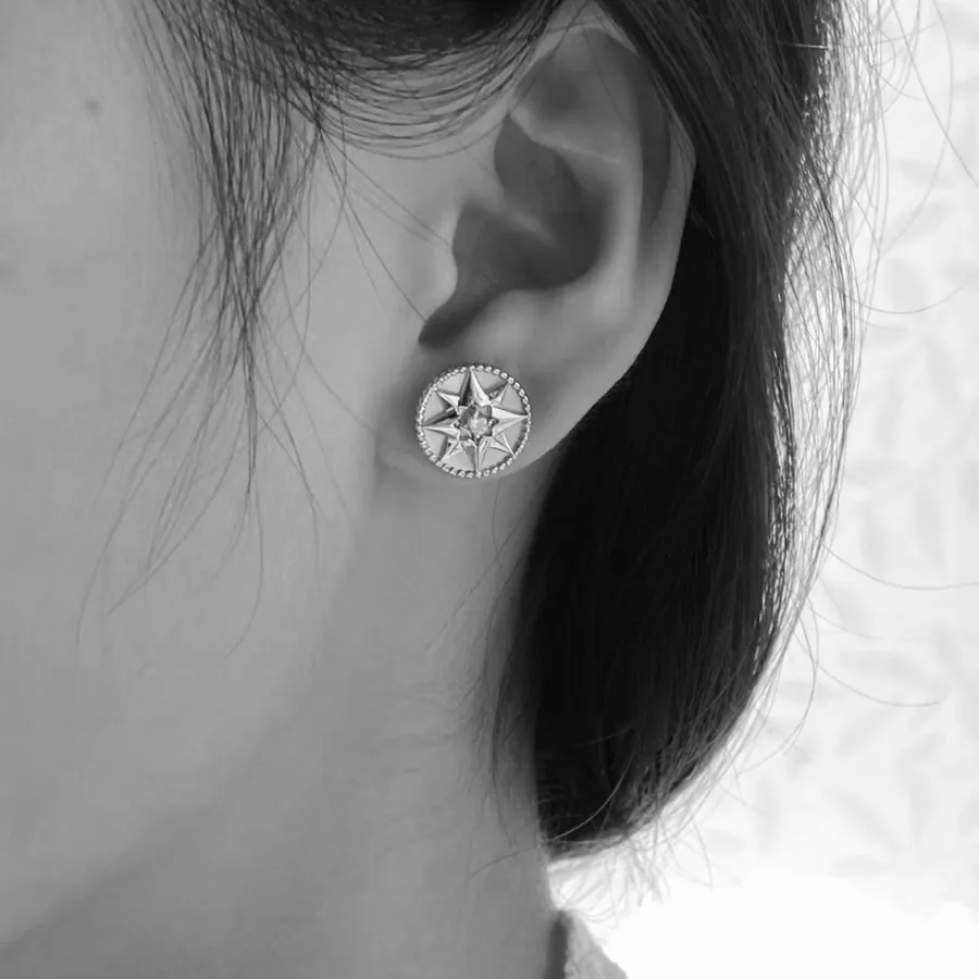P75 A2672 D家 Eight Star Series Compass Stud Earrings