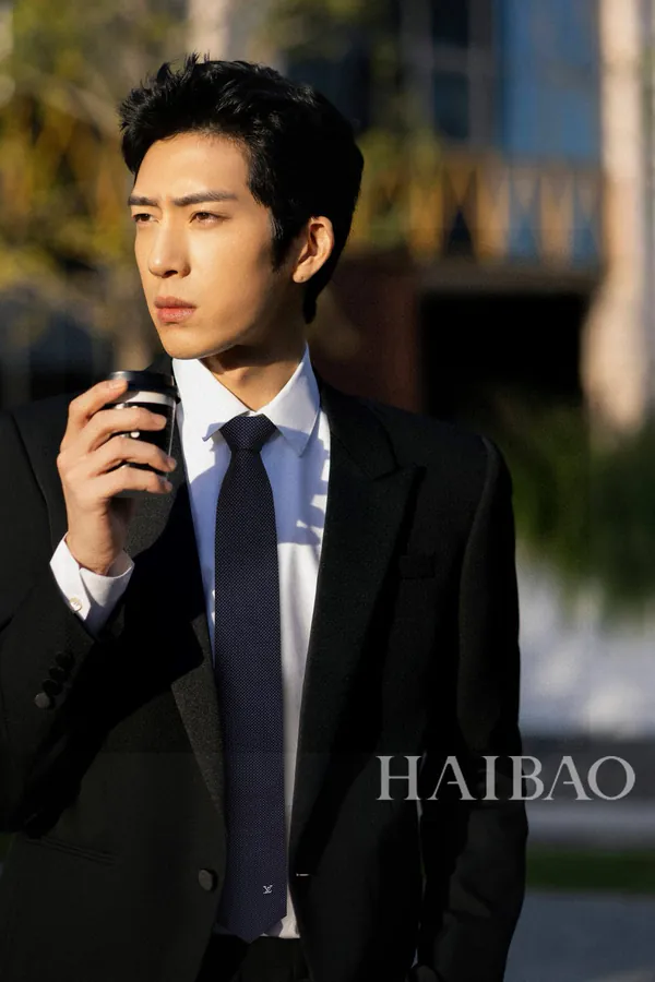 L Woven Pattern Tie for Men Diamonds V Tie