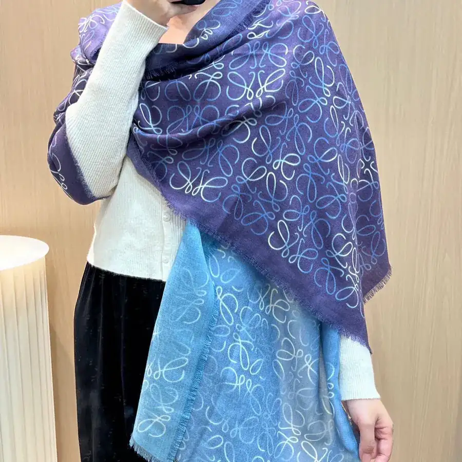 Gradient Double sided Vuitton Grained Calfskin Silk and Cashmere Scarf
